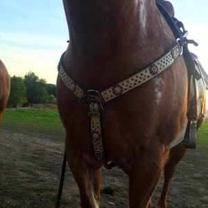 Belt breast collar